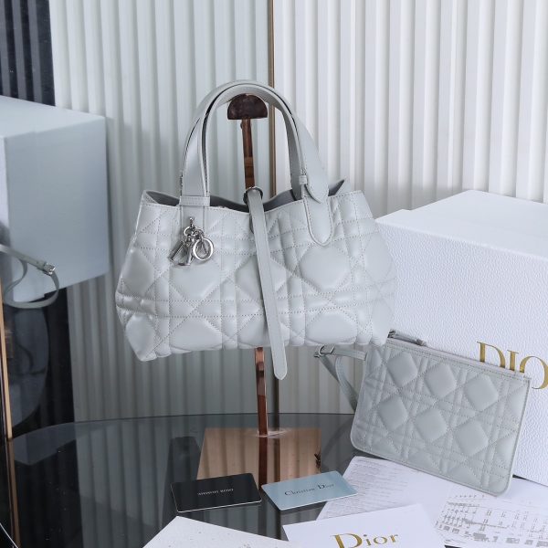 Cloud Mist Grey Small New Model Toujours Handbag
