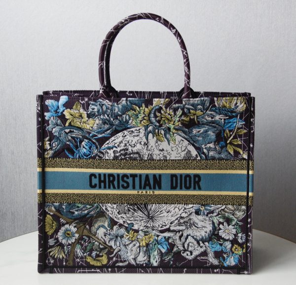 Dior Book Tote
