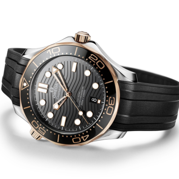 Omega Seamaster Series 210.22.42.20.01.002 Watch - Image 2