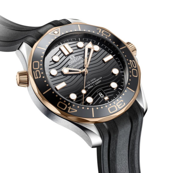Omega Seamaster Series 210.22.42.20.01.002 Watch - Image 3